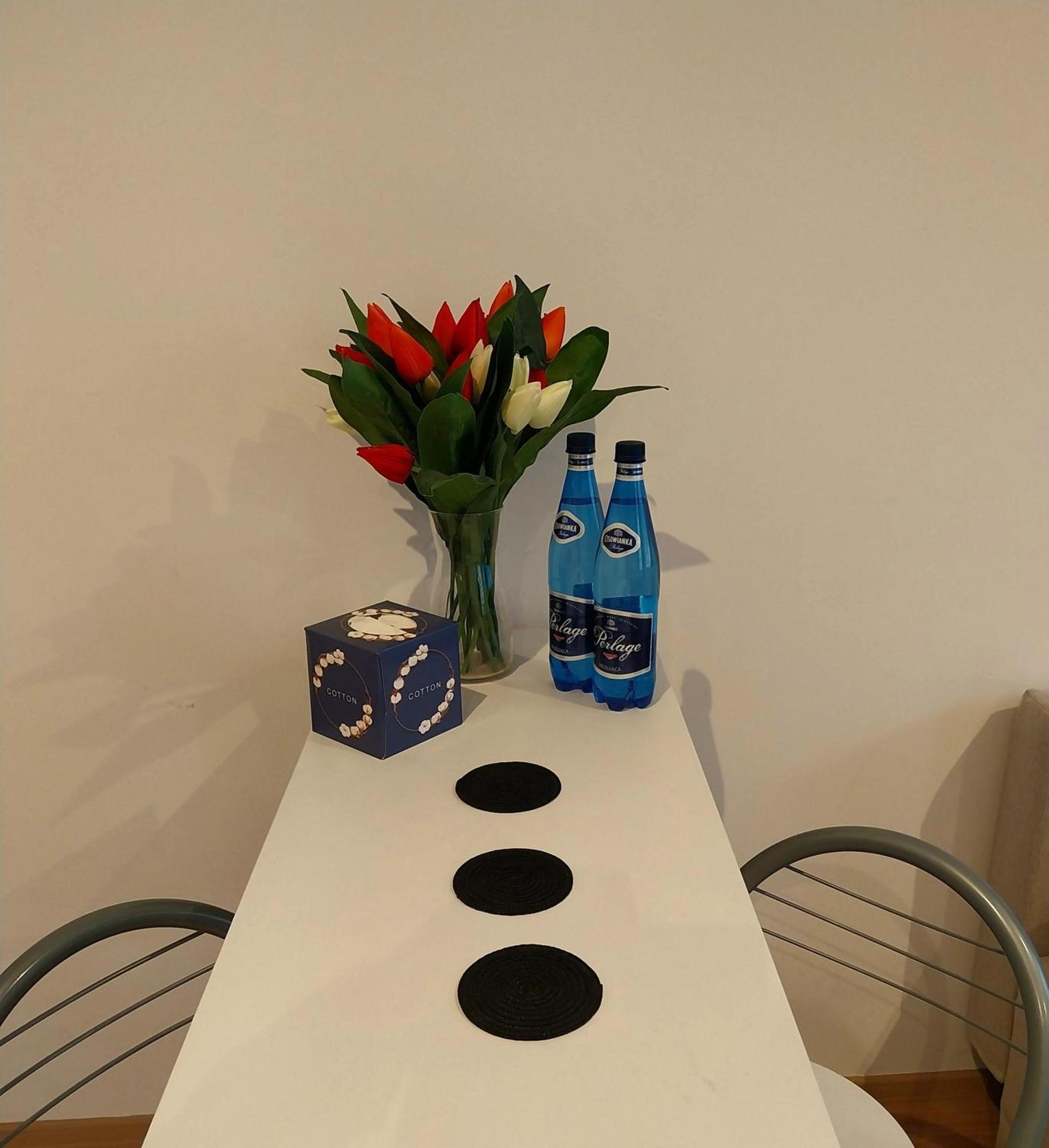 Apartament Srodmiescie Przemyśl Eksteriør bilde